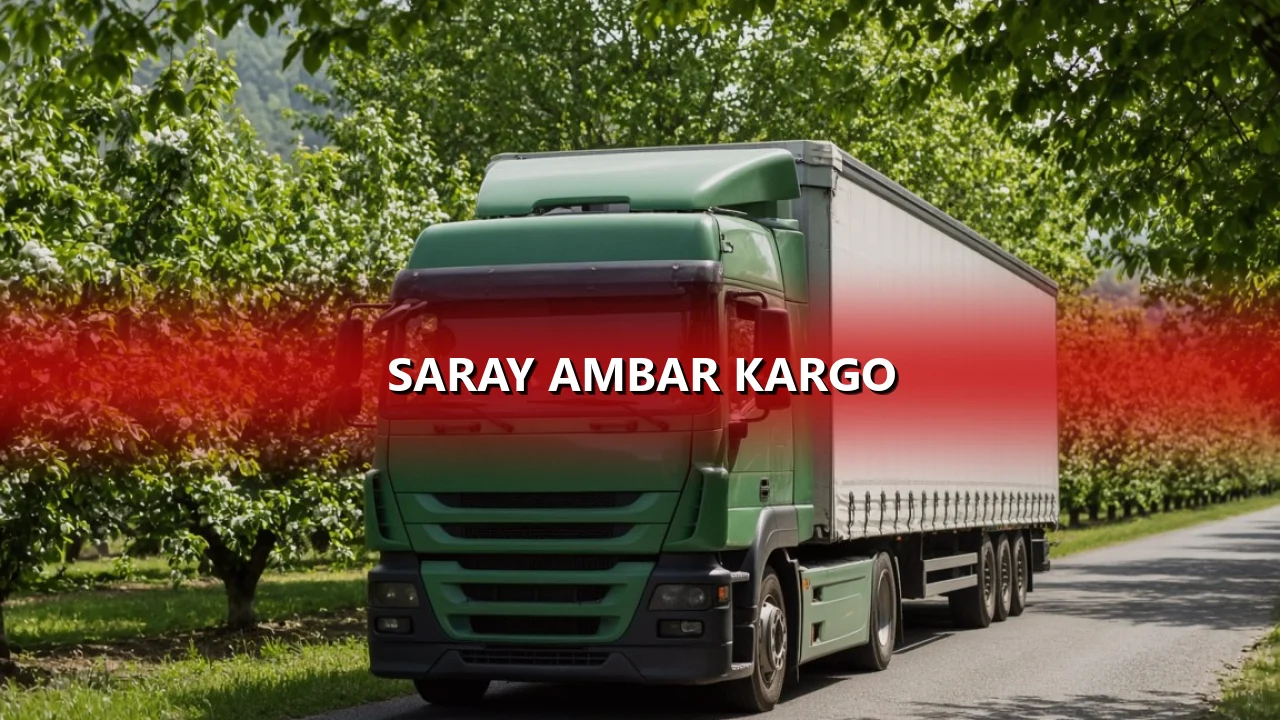 Saray Ambar Kargo