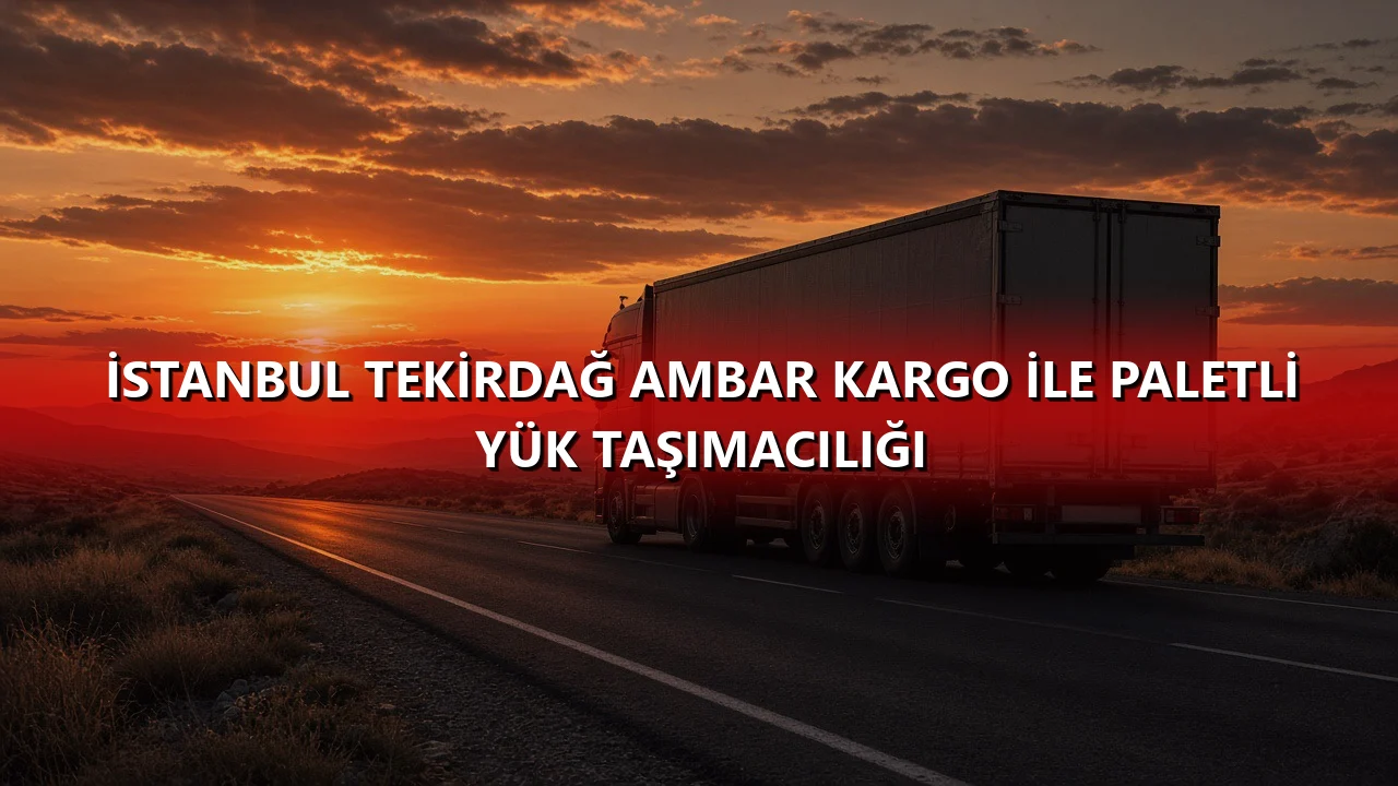 İstanbul Tekirdağ Ambar Kargo İle Paletli Yük Taşımacılığı
